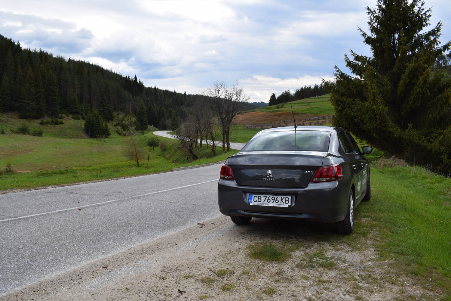 peugeot 301