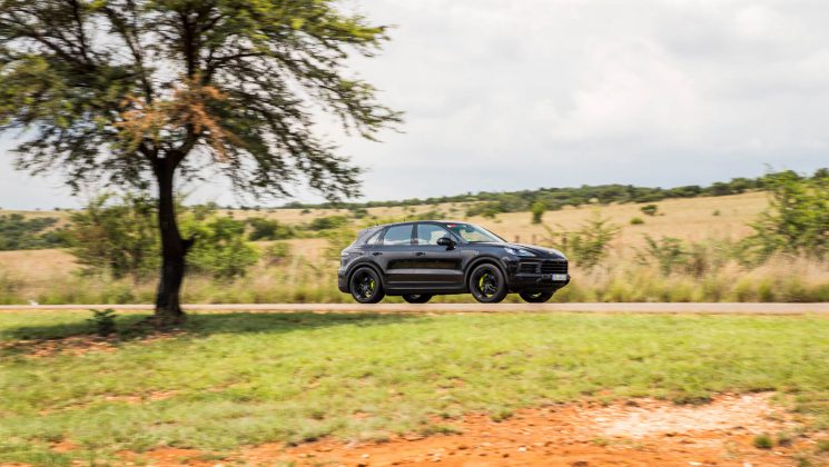 Cayenne
