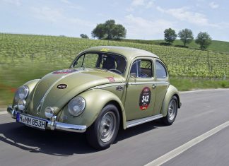 Beetle